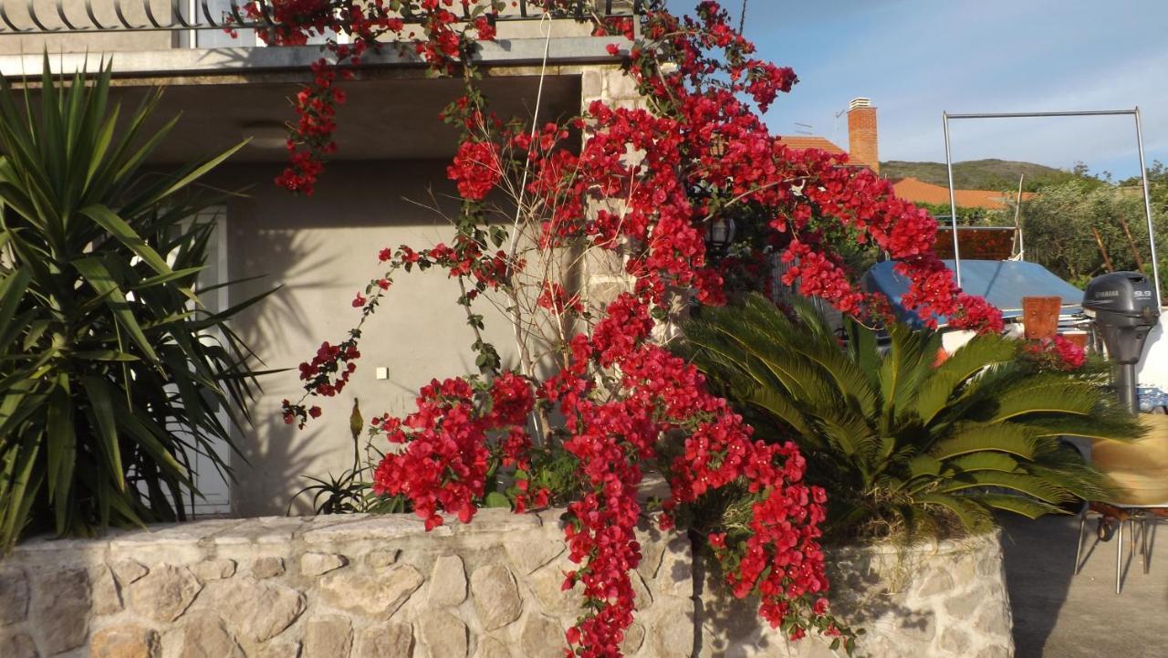 Lustica Apartments מראה חיצוני תמונה